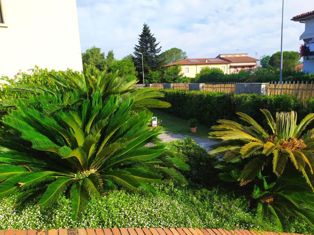B&B Tra Mare E Marmo Марина-ді-Каррара Екстер'єр фото